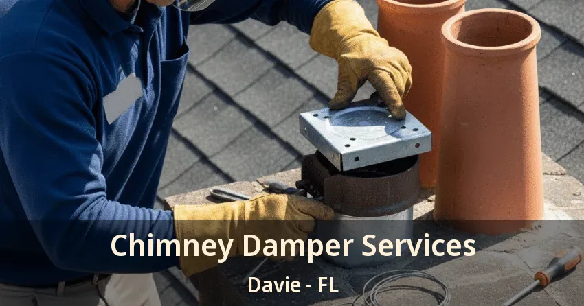 Chimney Damper Services Davie - FL