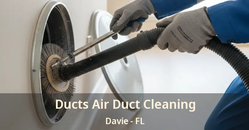 Ducts Air Duct Cleaning Davie - FL