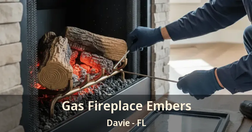 Gas Fireplace Embers Davie - FL