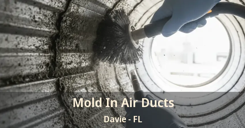 Mold In Air Ducts Davie - FL